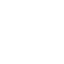 Polygon Matic